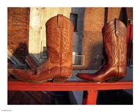 Framed Cowboy Boots