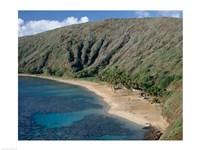 Framed High angle view of a bay, Hanauma Bay, Oahu, Hawaii, USA Landscape