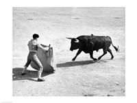 Framed High angle view of a bullfighter with a bull in a bullring, Madrid, Spain