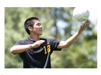 Framed Volleyball Serve