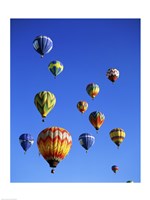 Framed Hot air balloons rising, Albuquerque International Balloon Fiesta