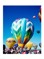 Framed Hot air balloons taking off, Albuquerque International Balloon Fiesta, New Mexico