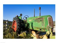 Framed Abandoned tractor in a field, Temecula, Wine Country, California, USA