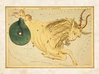 Framed Capricornus Zodiac Sign