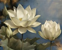 Framed Lotus I