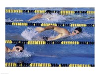 Framed Three swimmers racing in a swimming pool