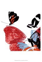 Framed Butterflies Dance IX