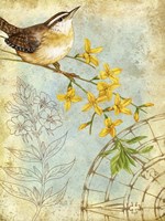 Framed Songbird Sketchbook I