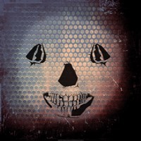 Framed Grunge Skull Smile