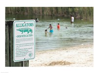 Framed Alligators warning sign at the lakeside, Florida, USA