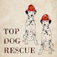 Framed Top Dog Rescue