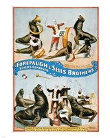 Framed Forepaugh & Sells Brothers