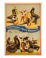 Framed Sells Brothers Sea Lion Circus