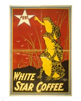 Framed White Star Coffee Frogs