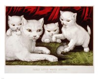 Framed Three Little White Kitties