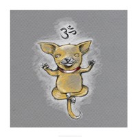 Framed Enlightened Chihuahua
