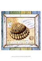 Framed Sea Treasures V