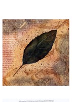 Framed Antiqued Leaves IV