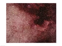 Framed North America Nebula In Cygnus