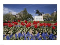 Framed Andrew Jackson Statue, Washington D.C., USA