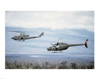 Framed left side view of an AH-1 Cobra helicopter, front, and an OH-58 Kiowa helicopter