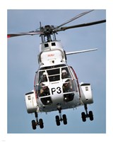 Framed Canadian Forces Boeing Vertol CH-113 Labrador helicopter