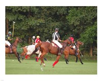 Framed Polo Umpire