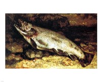 Framed Gustave Courbet - The Trout
