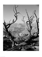 Framed USA, Arizona, Grand Canyon, Colorado River seen from South Rim