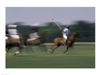 Framed Polo match in progress