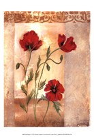 Framed Red Poppies IV