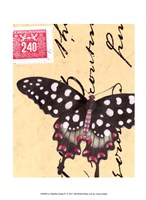 Framed Le Papillon Script IV