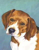 Framed Dog Portrait-Beagle