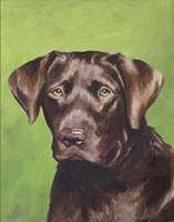 Framed Dog Portrait-Chocolate