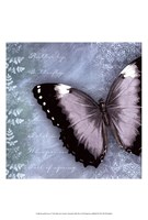 Framed Butterfly Notes X