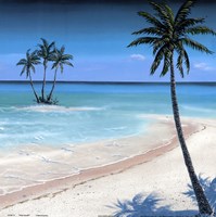 Framed Palm island II