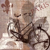 Framed Paris Trip