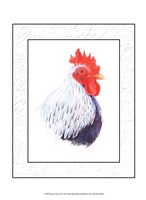 Framed Rooster Insets II