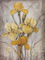 Framed Golden Irises I