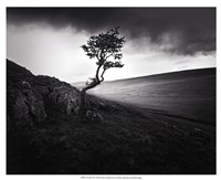 Framed Outcrop