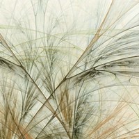 Framed Fractal Grass VI