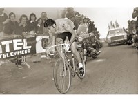Framed Merckx Dominates