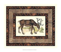 Framed Rustic Moose