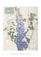 Framed Small Postcard Wildflowers II