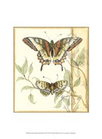 Framed Small Tandem Butterflies II