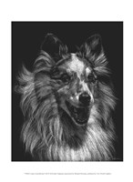 Framed Canine Scratchboard VIII