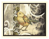 Framed Bird Song II