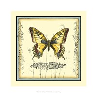 Framed Butterfly and Wildflowers I