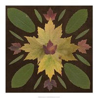 Framed Kaleidoscope Leaves IV