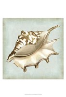 Framed Sea Dream Shells IV